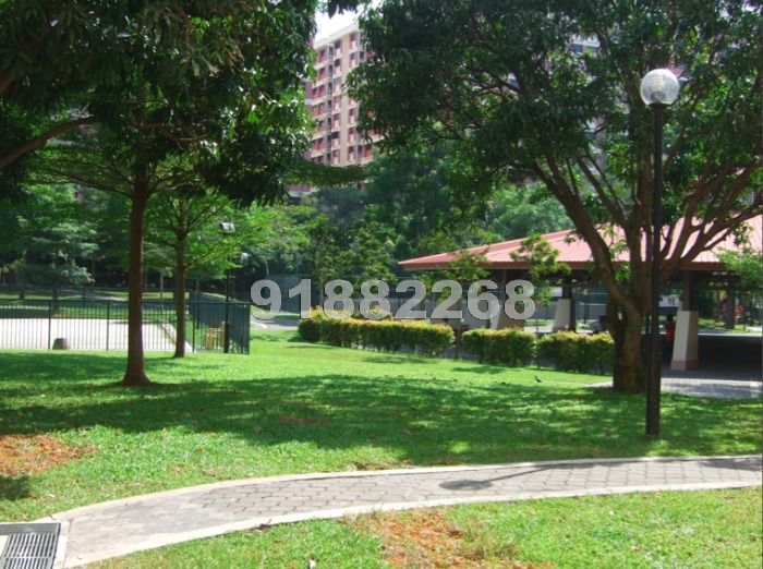 Hougang Avenue 8 thumbnail photo